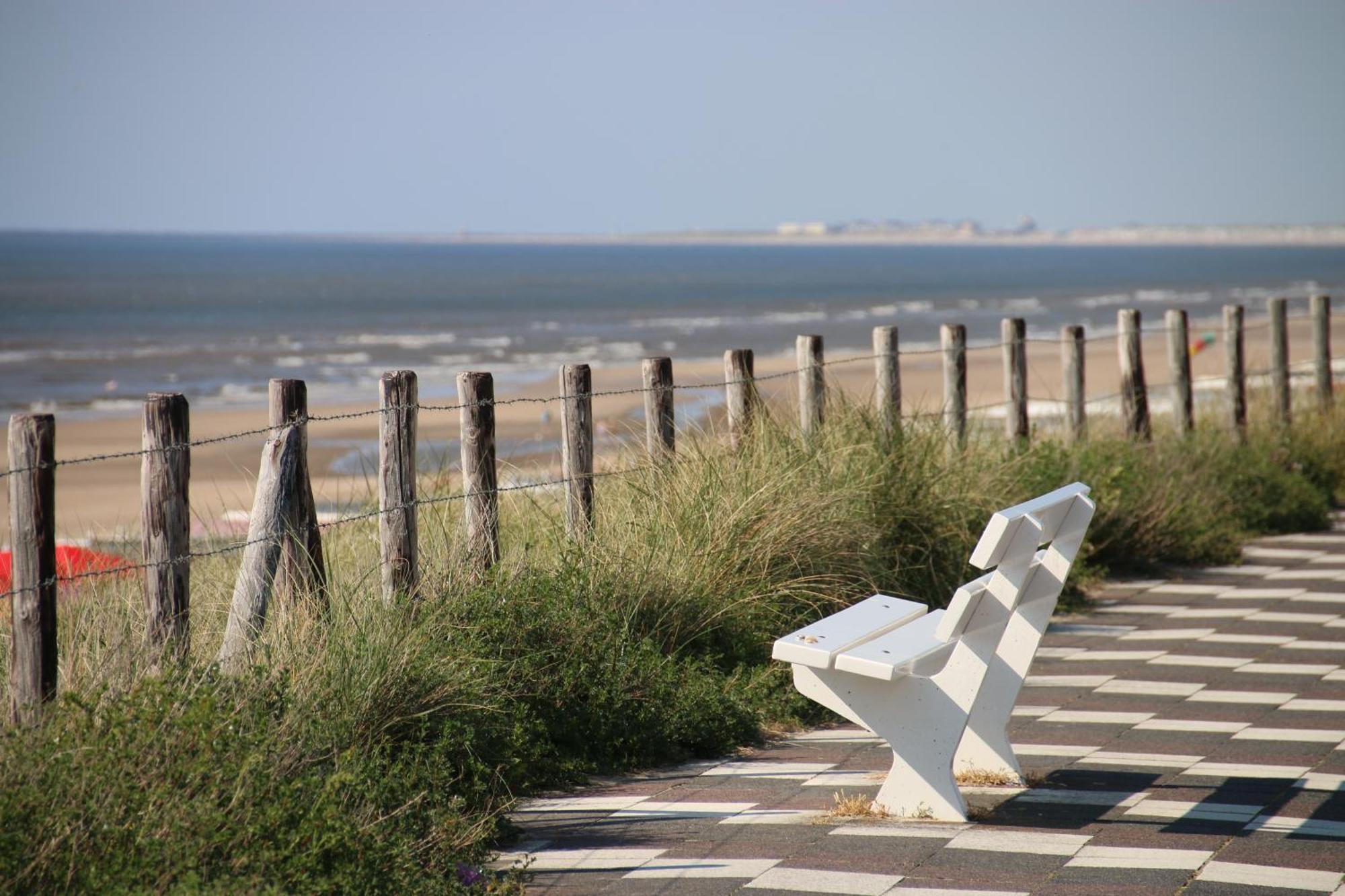 B&B Little Miss Sunshine Zandvoort Exterior foto